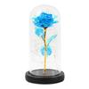 LED Lamp Glass Cover Rose Flower Micro Landscape Decorative Light Christmas Gift
