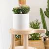 And, Wooden Pot Display Ands Rack Hold for Indoor Entryway