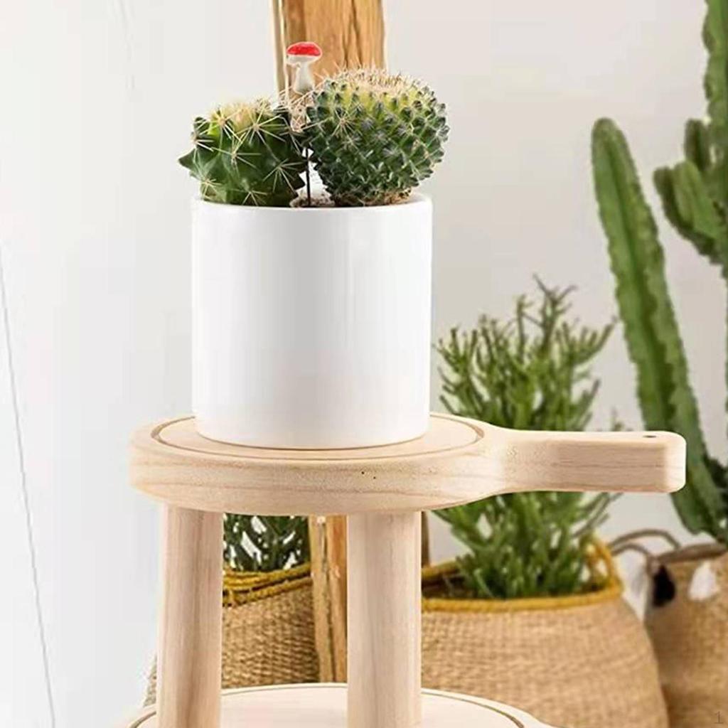 А також дерев'яну вітрину та стелаж для внутрішнього входу