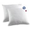 ABEIL Set of 2 ICEBERG Soft Pillows 60x60cm