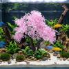 Plastic Aquarium Cherry Blossom Realistic Artificial Plant Fish Tank Ornament  Home Ornaments
