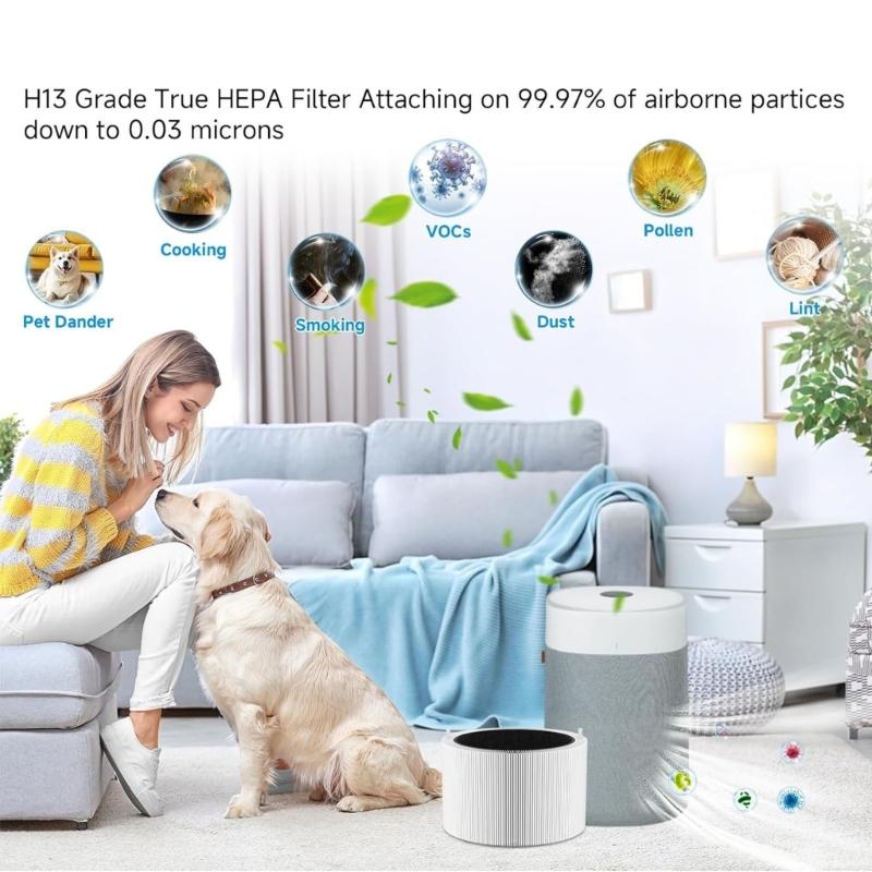 Air Purification HEPA Composite Carbon Filter Spare Part Replacement Easy Installation for 211i Air Purification Accesso