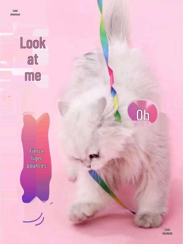 Rainbow Ribbon Cat Teaser: Double-Sided Toy with Long Pole and Seven-Color Streamers