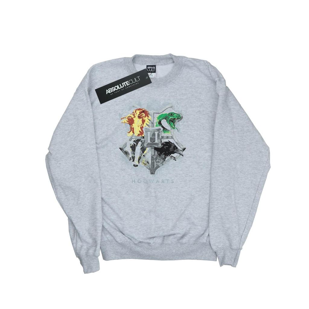 Harry Potter Boys Hogwarts Painted Crest Sweatshirt