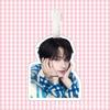 Seventeen Wen Junhui Luggage Tag & Keychain Accessories