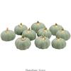 10Pcs Artificial Pumpkins Green Foam Pumpkins Green Autumn Festival Decoration for Thanksgiving Halloween Basket Display