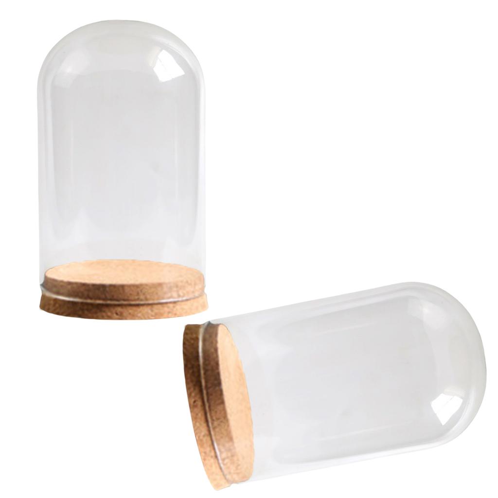 Sada 2 Mini Sklenených Klenbových Zvonov s Korkovou Podstavou Sklenené Zvončeky Nádoba Teráriá Vystavovacie Fľaše na Skladovanie Kvetov Umelecká Expozícia