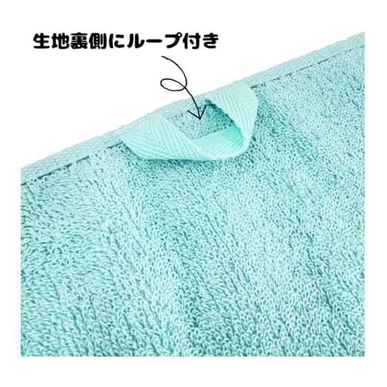 Hayashi Face Towel Set with Loop, 2-Pack, Approx. 34x80cm, Low Key Color, Purple, FP494405-2P
