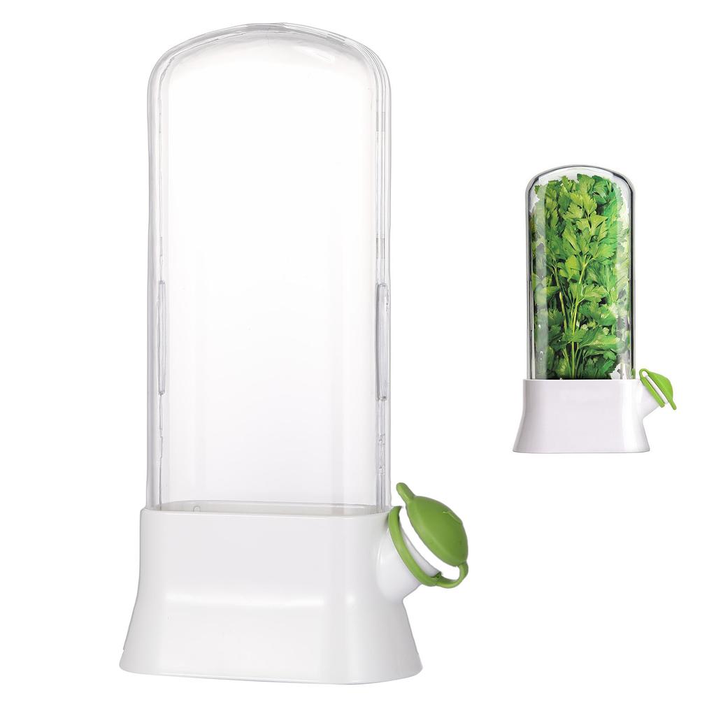 Coriander container, storage container made of ABS plastic with transparent window for space-saving design for travel kitchen in the refrigerator