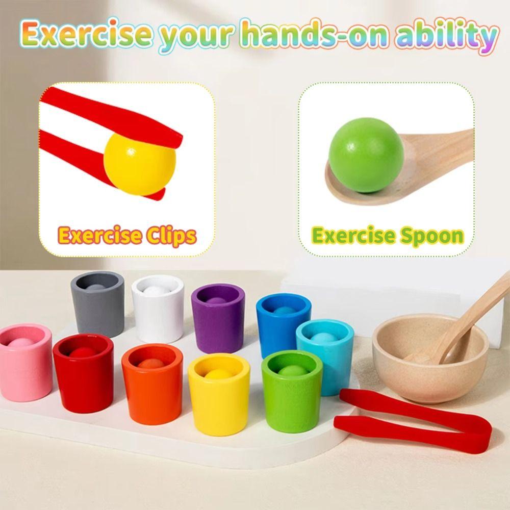 Wooden Balls In Cups Montessori Cognition Games Sorting Matching Toys  Preschool