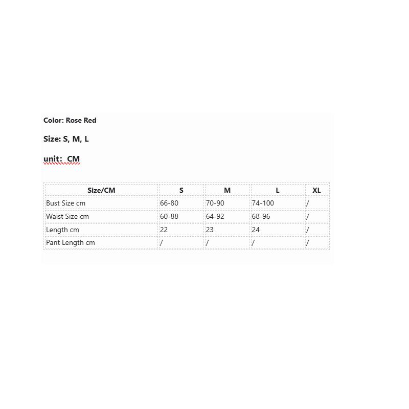 Dnika Classic Complex Craft Lingerie Set  Transparent Push Up Bra And Garter Belt Underwear