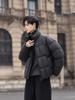 Men's 2025 Trendy Stand Collar Short Down Jacket - Casual Thick Warm White Duck Outerwear