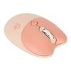 Bunte 2,4G Katzen-Funkmaus Stummes Design Leicht Niedliche Maus USB-Empfänger Plug & Play Funkmaus Laptop
