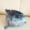 Angry Blob Seal Pillow Chubby 3D Novelty Sea Lion Doll Plush Stuffed Toy Sleeping Pillow Birthday Gifts For Kids Girls