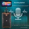 MALONE M-8510L Portable Karaoke Speaker with Dual Microphones CN plug (adapter included)