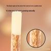 Kuang Jie Tenor Saxophone Reeds 2.5, Pack of 10