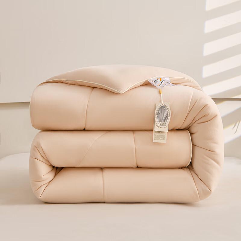 Fang Wang Aimas Warm Fleece Quilt