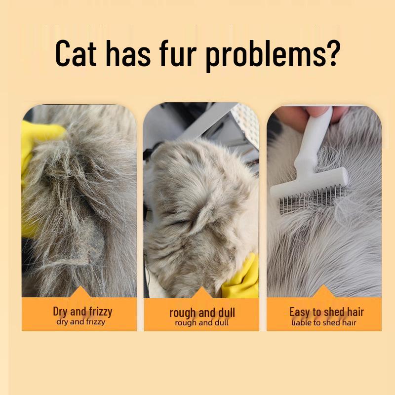 Ragdoll Cat Bathing Gel - Long-Lasting Fragrance & Care for Long-Haired Cats