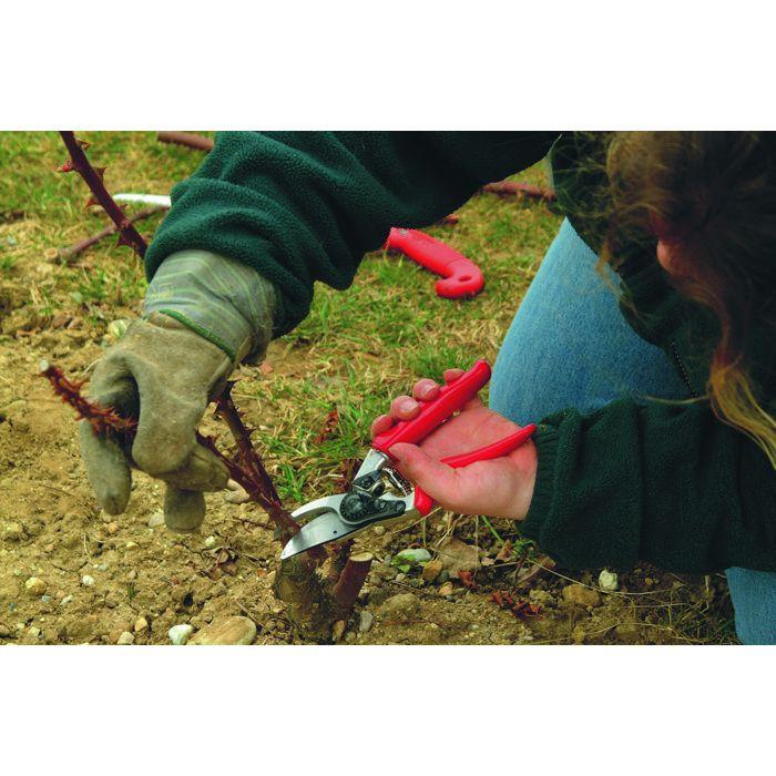 Sécateur - Felco - Modèle 10 - Professionnel - Neuf - Jardinier