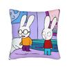 Simons Super Rabbit Ferdinand Square Pillow Cases  Cushion Cover Awesome Zipper Decorative Pillowcase for Car x