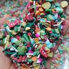 1000g DIY Craft Slime Filler Polymer Clay Slices Leaf Ladybird Beetle Mix Leaves Polymer Sprinkles