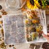 Recall The Past Series Vintage Plant Flower Character Landscape Sticker Book Creative DIY Journal Material Collage Stationery
