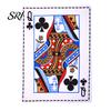 Crinkle Playing Card Dog Toy Sound Newspaper Chew Realistic Puppy Teething for Dogs Biting Chewing Anxiety Relief Fun