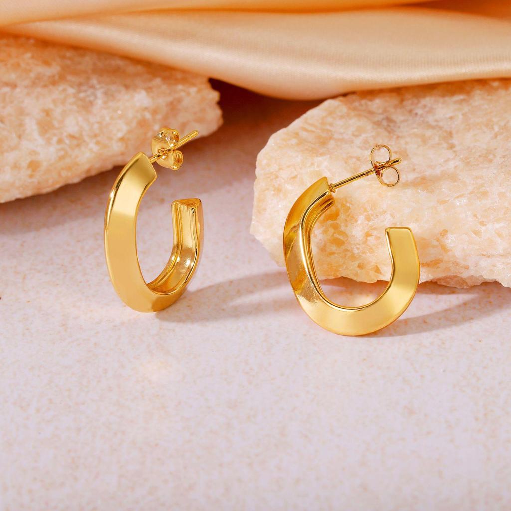 2025 Luxury Titanium Steel Earrings - No Fade, High-End Feel