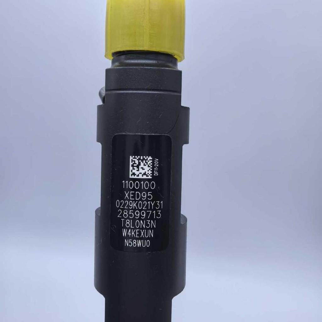 High-Quality Common Rail Injector for Engine 28599713