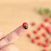5pcs Handmade Resin Ladybug DIY Ladybug Miniatures Cartoon   Phone Case Patch