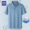 Men's Silk Blend Short Sleeve Polo Shirt
