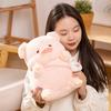 Wholesale Chubby Pig Doll Internet Celebrity Angel Pig Love Plush Toy Bed Doll Claw