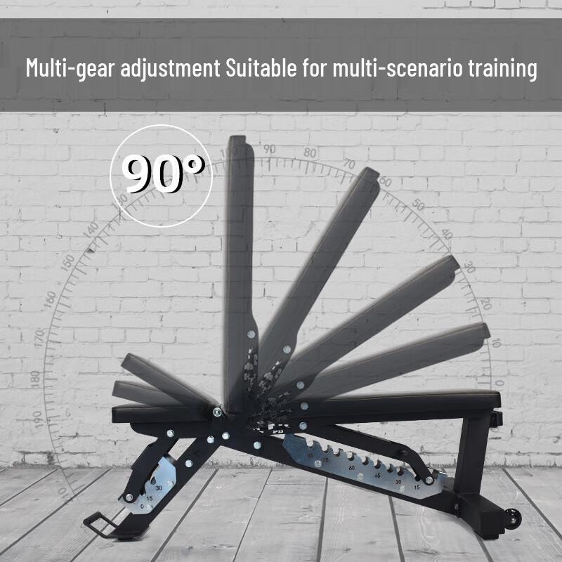 Adjustable Dumbbell & Barbell Bench