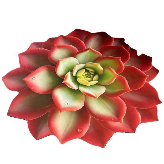 

80/100СМ 3D Суккуленты Ковер Нескользящий Впитывающий Быстросохнущий Плюшевый Коврик для Пола Гостиная Спальня Ванная Кухня Декоративный Ковер 80cm C