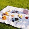 Outdoor Picnic Mat
