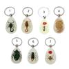 Breloc cu Insectă din Rășină Scorpion Strălucitor Specimen de Insectă Pandantiv Suveniruri Turistice Scenic Breloc de Chihlimbar Bijuterii Trendy