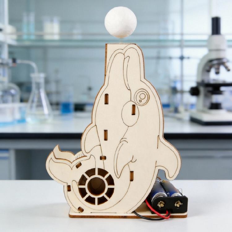 Aerodynamic Demonstration Set Wooden Electric Air Dolphin Suspension Ball for Physics Teaching and Classroom Experiment