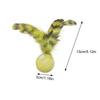 Interactive Cat Toys For Indoor Cats 5 Pieces Interactive Cat Bouncy Ball Set With Feathers Safe Funny Pet Teething Toys For