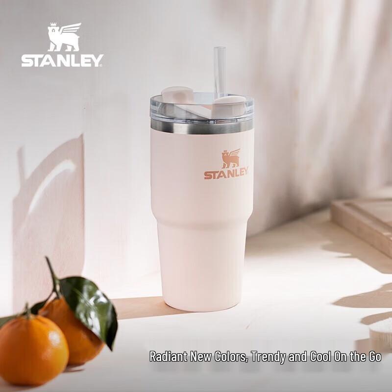 Stanley Adventure Series H2.0 Stainless Steel Vacuum Straw Tumbler