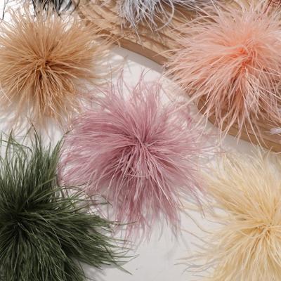 Fluffy Soft Ostrich Feather Accessory DIY Multi-Color Garment Trim Accessory Multi-Purpose DIY Handmade Accessory