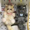 Joli Bâton Torsadé Haute Beauté Chat Fait Main DIY Tissage Ornement de Bureau Pendentif de Sac Cadeau pour Amis