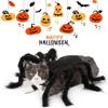 Cosplay Pet Spider Costume Funny Cats Party Cosplay Props Halloween Spider Pet Costume  Puppy