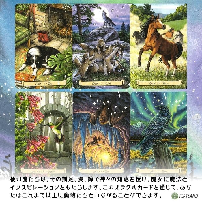 Everyday Witch's Familiars Oracle Cards (Authentic) with Japanese Instructions, Witch, Animal, and Familiar