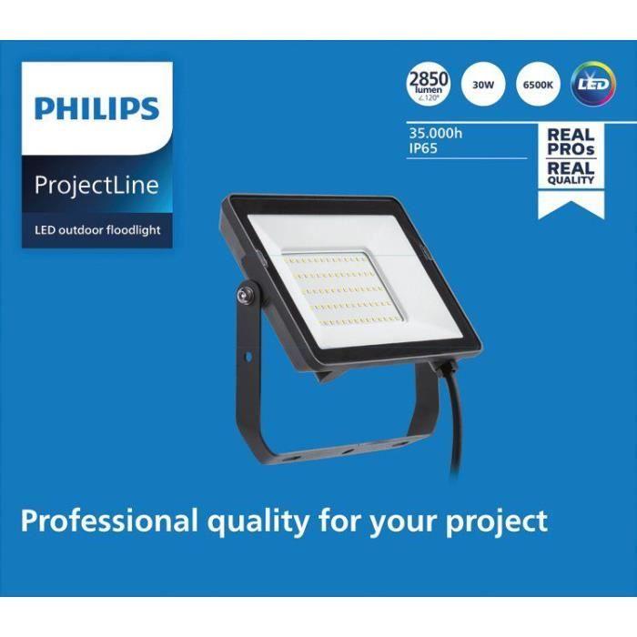Projecteur - Philips - 30W 2850lm 6500K - IP65