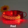 LED Hundehalsbånd Anti-Tapt Nylon Hundehalsbånd Personlig Kjæledyrhalsbånd for Stonego Liten Medium Stor Kjæledyr