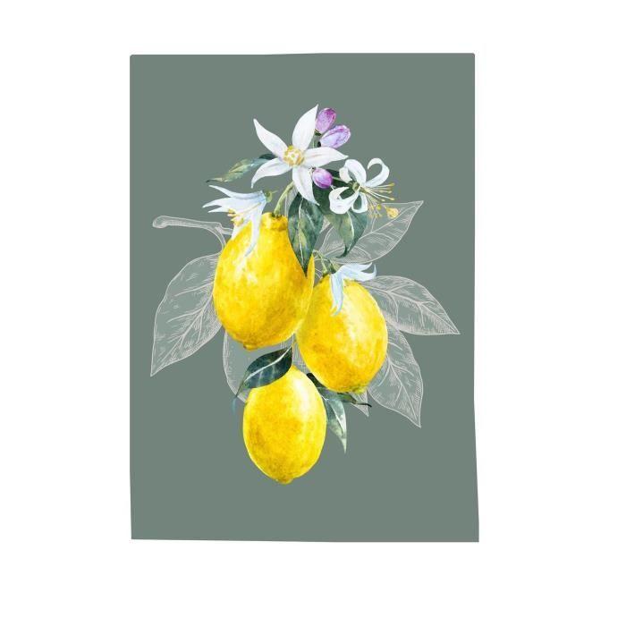 Torchons - Lot de 3 - 100% coton - 50x70cm - Lavable à 40°