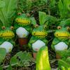 4Pcs Terracotta Self Watering Frog Planter Watering Spikes Slow Insert Automatic Spikes Cute Release Watering Tools