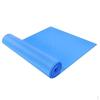 Elastisk Bodybuilding - Fitness