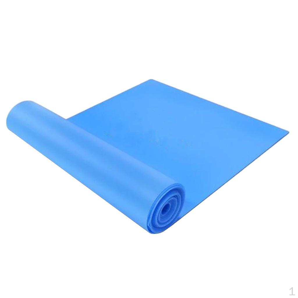 Elastic Bodybuilding - Fitness