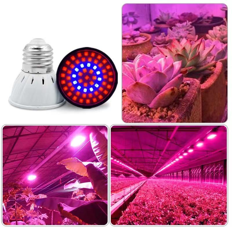 E27 LED Plant Growth Lamp Cup with 48, 60, or 80 Beads for Succulent Seedling Fill Light